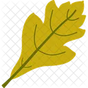 Autumn Fall Foliage Icon