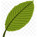 Autumn Fall Foliage Icon