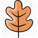 Autumn Leaf Fall Leaf Nature Icon