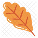 Autumn Maple Leaf Autumn Acorn Icon
