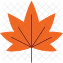 Autumn Leaf Icon Icon