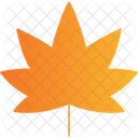 Autumn Leaf Icon Icon