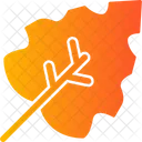 Autumn Leaf  Icon