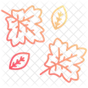 Autumn leaves  Icon