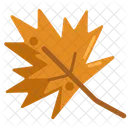 Autumn Leaves  Icon