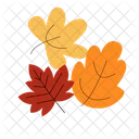 Autumn Leaves Autumn Leaves Icon
