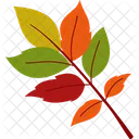 Autumn Fall Foliage Icon