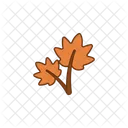 Autumn Leaves Autumn Leaves Icon