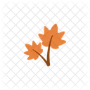 Autumn Leaves Autumn Leaves Icon