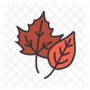 Autumn leaves  Icon