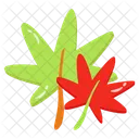 Autumn Leaves Foliage Leafage Icon