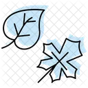 Autumn-leaves  Icon