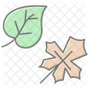 Autumn-leaves  Icon
