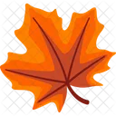 Autumn Leaf Maple Icon