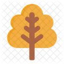 Tree Nature Autumn Icon