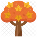 Autumn Tree Fall Tree Icon