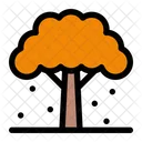 Autumn Tree  Icon
