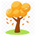 Autumn Tree Hardwood Forest Icon