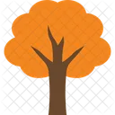 Autumn Tree Icon Icon