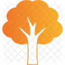 Autumn Tree Icon Icon