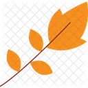 Autumn Tree Leaves  Icon