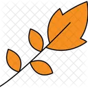 Autumn Tree Leaves Icon Icon