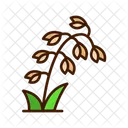 Aveia Grao Cereal Ícone