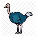 Linha Cheia De Avestruz Icon