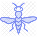 Avispa De La Agalla Insecto Planta Icono