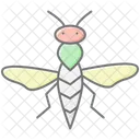 Avispa De La Agalla Insecto Planta Icono