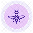 Avispa De La Agalla Insecto Planta Icono