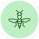 Avispa De La Agalla Insecto Planta Icono