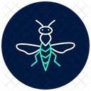Avispa De La Agalla Insecto Planta Icono