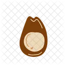 Avocado  Icon