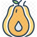 Avocado Fruit Seed Icon