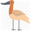 Avocet Bird Flying Icon