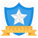 Award Shield  Icon