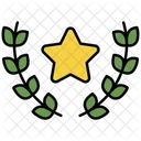 Award Star Award Reward Icon