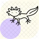 Axolote Anfibio Viscoso Ícone