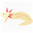 Axolote Reptil Animal Ícone