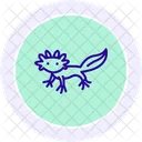 Axolotl  Icon