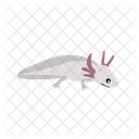 Axolotl Animal Zoo Icon