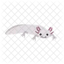 Axolotl Animal Zoo Icon