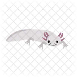 Axolotl  Icon