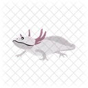 Axolotl Animal Zoo Icon