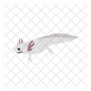 Axolotl Animal Zoo Icon