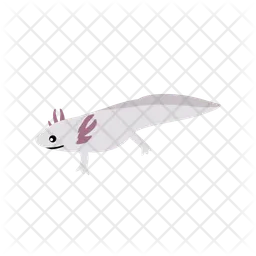 Axolotl  Icon