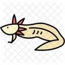 Axolotl Reptile Animal Icon
