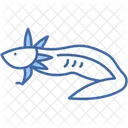 Axolotl Reptile Animal Icon