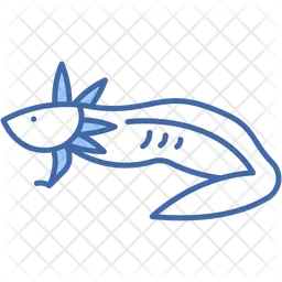 Axolotl  Icon